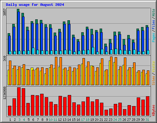 Daily usage for August 2024