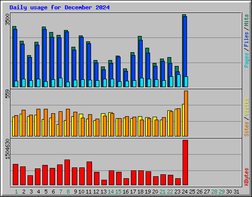 Daily usage for December 2024