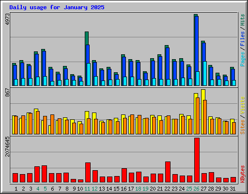 Daily usage for January 2025