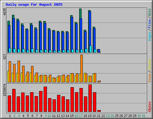 Daily usage for August 2025