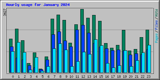 Hourly usage for January 2024