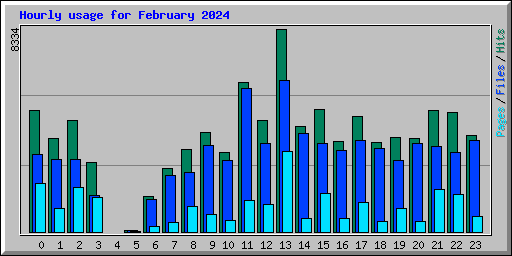 Hourly usage for February 2024