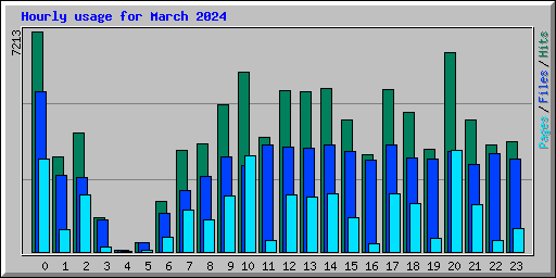 Hourly usage for March 2024