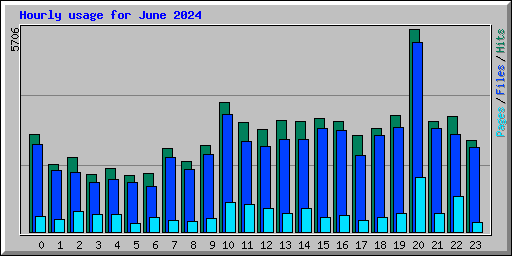 Hourly usage for June 2024