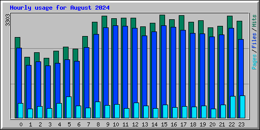 Hourly usage for August 2024