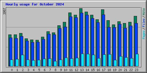 Hourly usage for October 2024