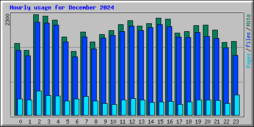 Hourly usage for December 2024