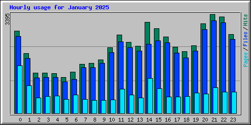 Hourly usage for January 2025