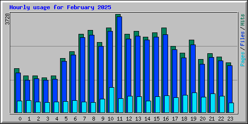 Hourly usage for February 2025