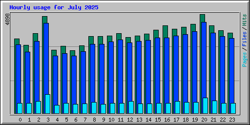 Hourly usage for July 2025