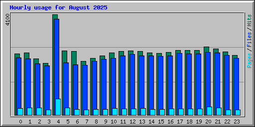 Hourly usage for August 2025