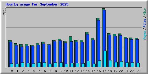 Hourly usage for September 2025
