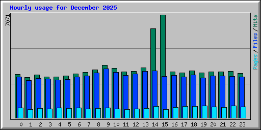 Hourly usage for December 2025