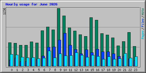 Hourly usage for June 2026