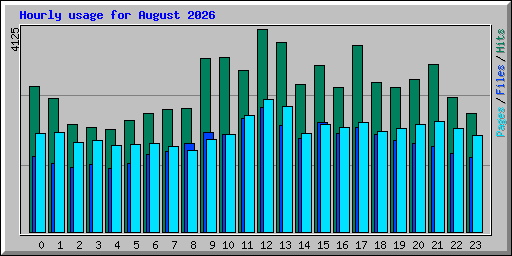 Hourly usage for August 2026